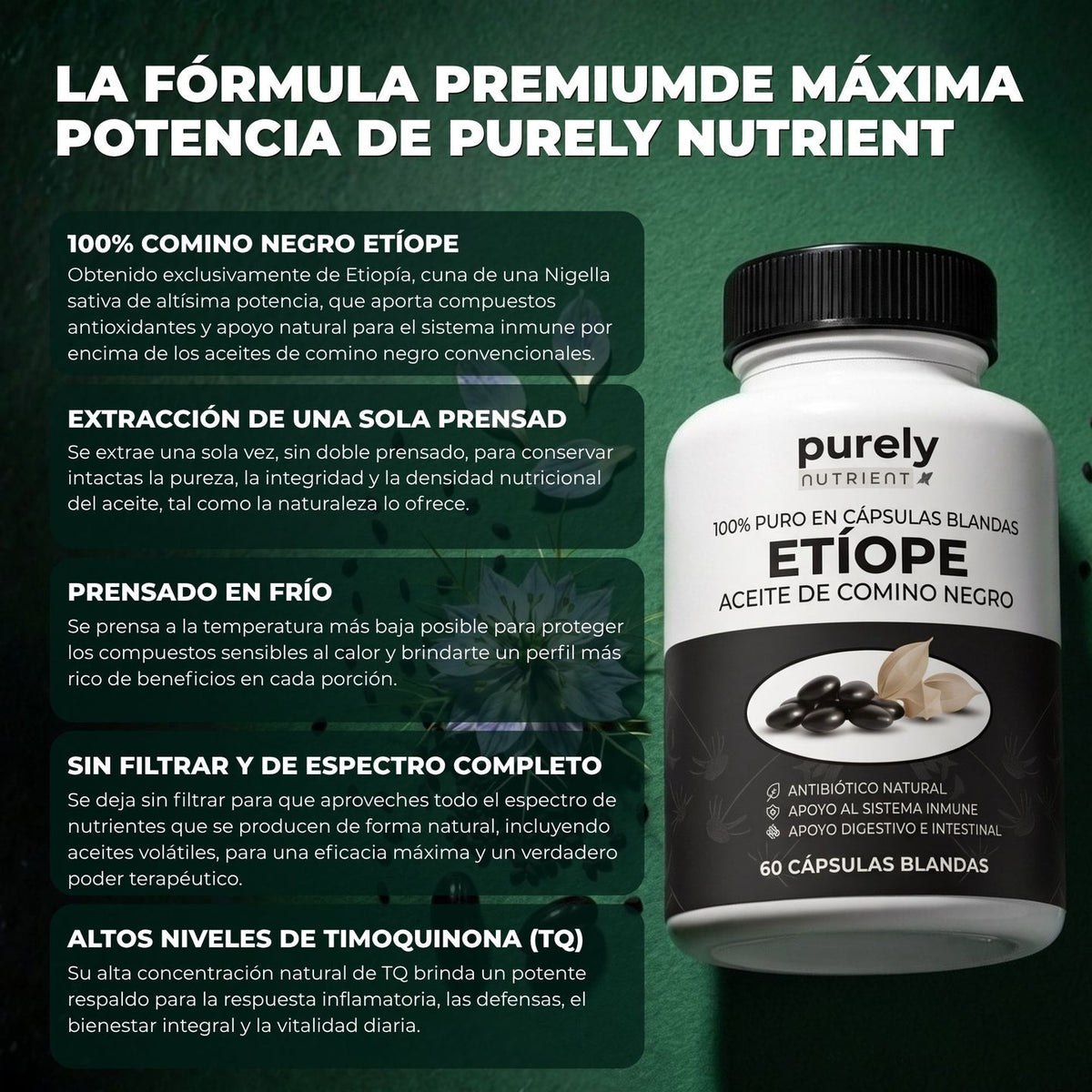 PURELY NUTRIENT ACEITE ETÍOPE DE SEMILLA NEGRA