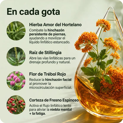 Gotas de apoyo para sentirte más liviana, activa y desinflamada
